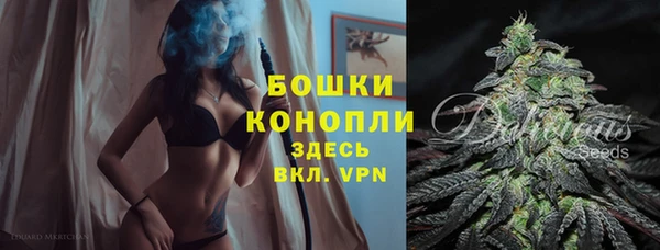 сатива Новокубанск